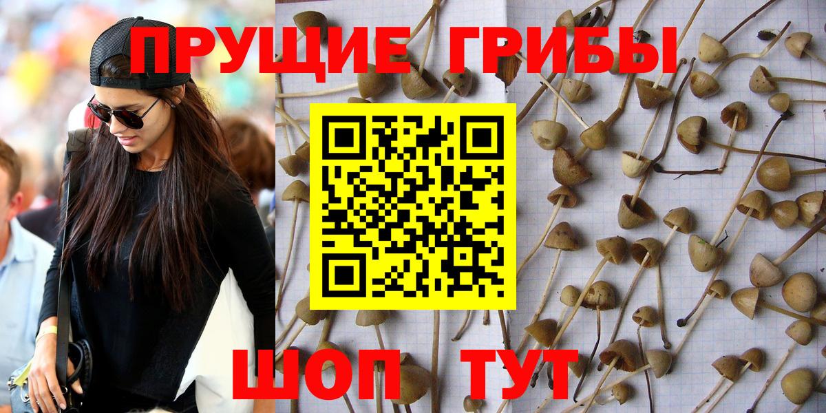 наркотики  Галлюциногенные грибы прущие грибы  Псилоцибиновые грибы Cubensis  Вход с VPN  Тара 